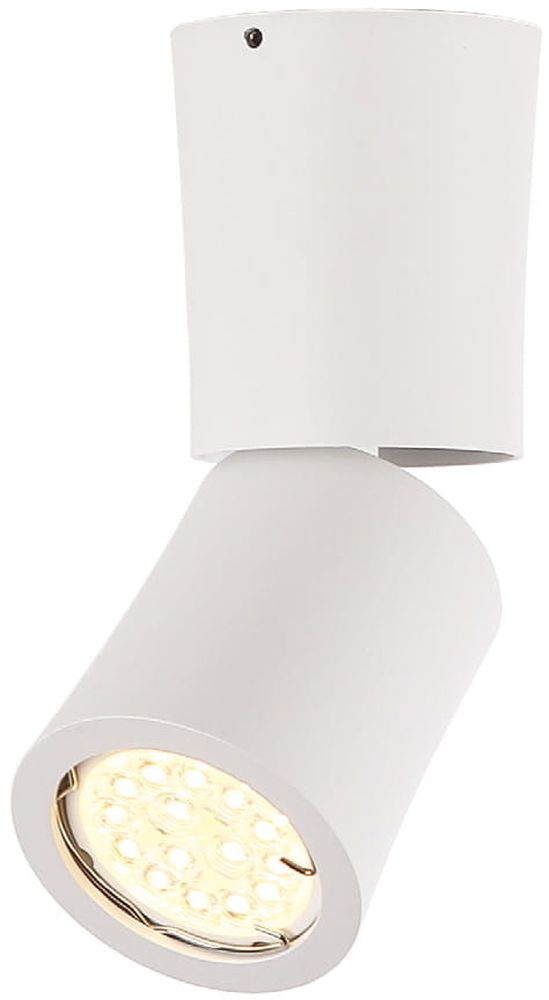 MaxLight Dot stropní světlo 1x50 W bílá C0123