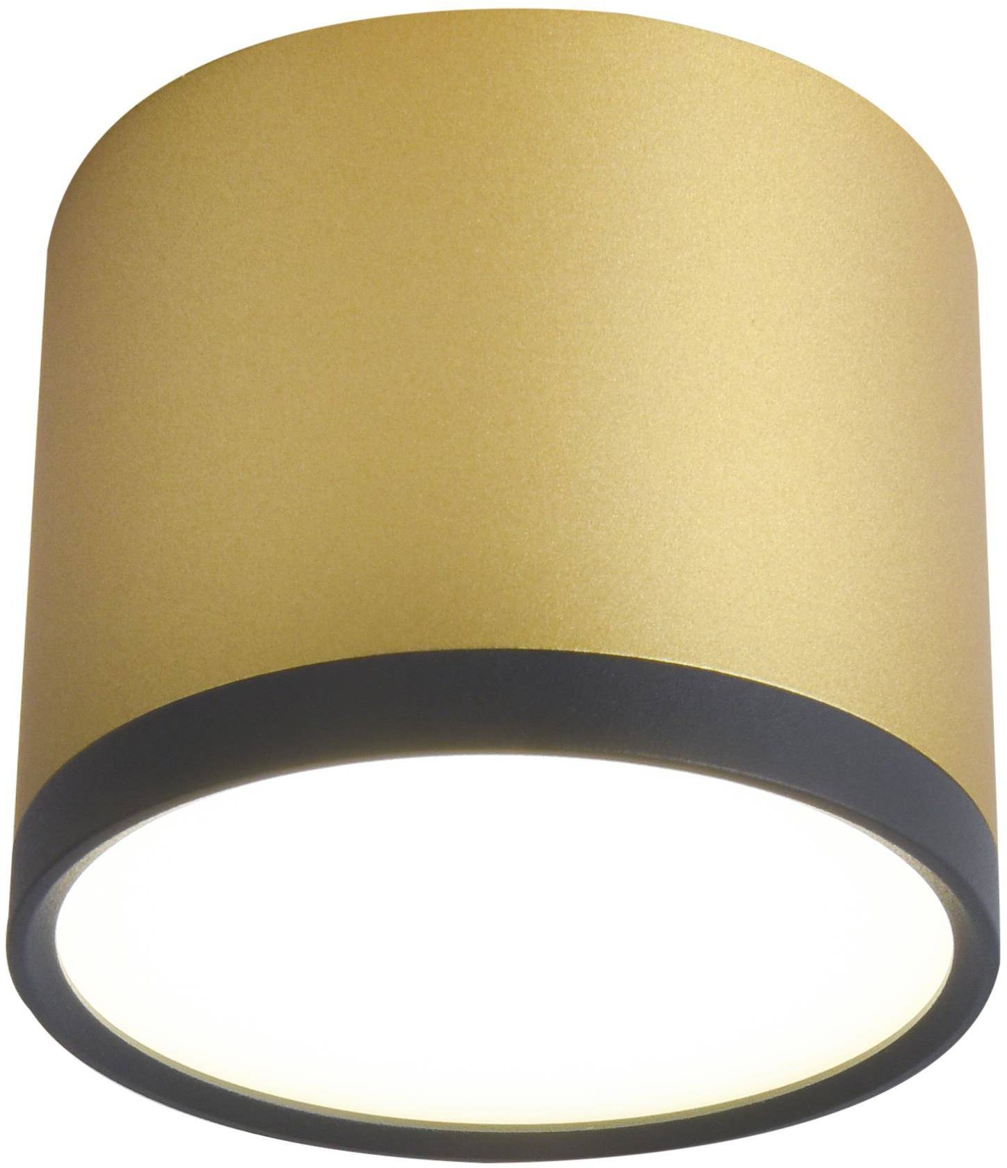 Candellux Tuba stropní světlo 1x9 W černá-zlatá 2275956