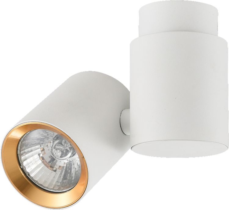 Light Prestige Boston stropní světlo 1x50 W bílá-zlatá LP-741/1WWH/GD