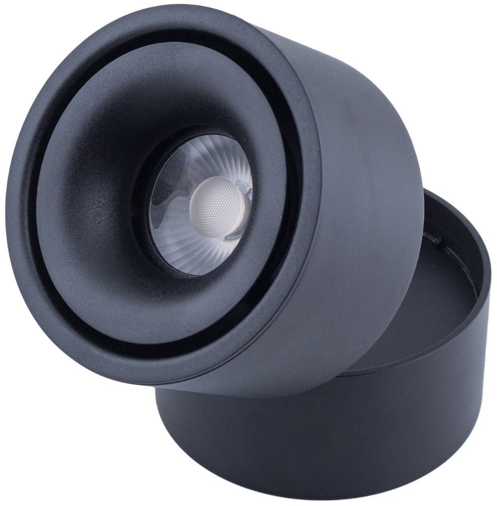 Abigali Commercial stropní světlo 1x12 W černá MZTD-B-12-20WW