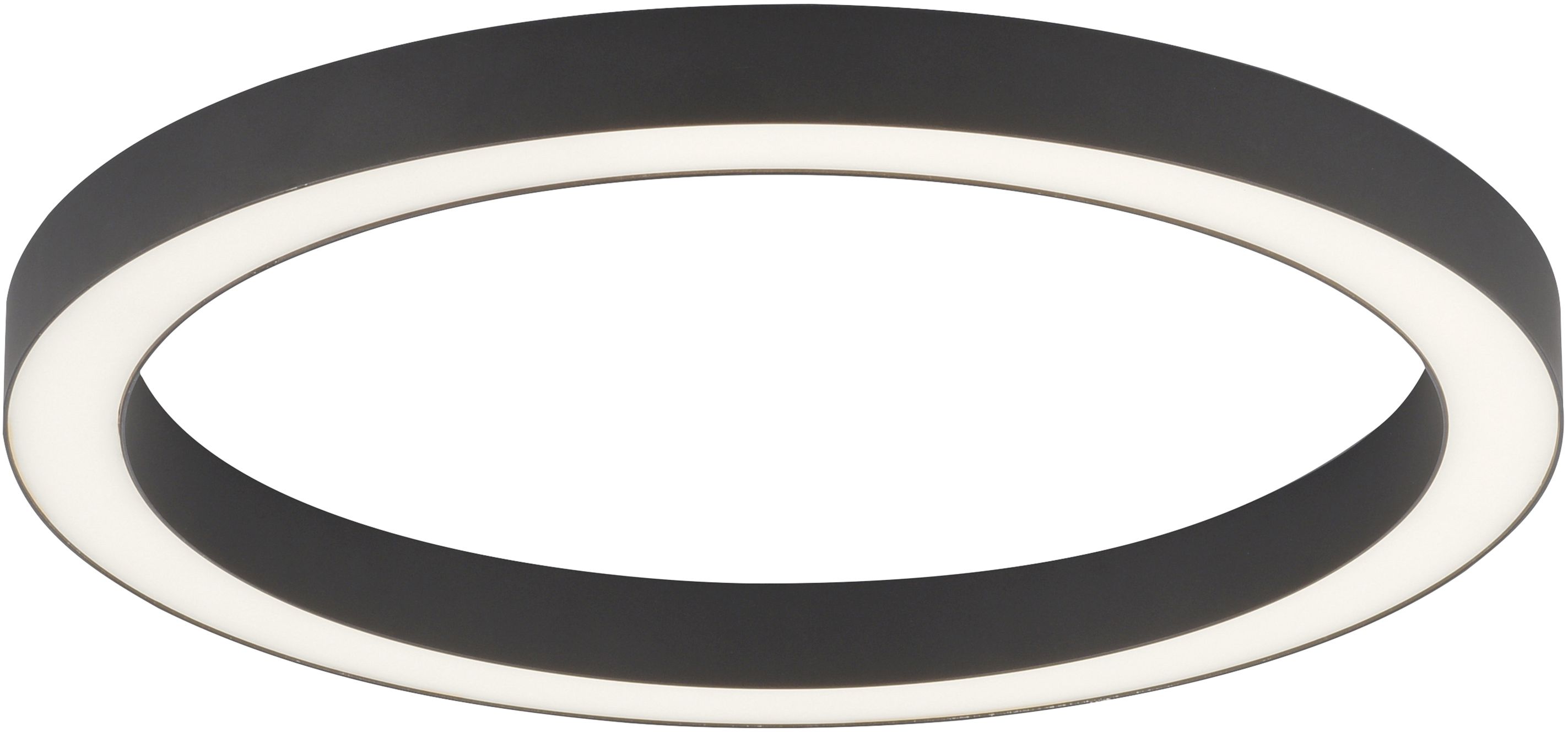 Paul Neuhaus Pure-Lines nástěnné svítidlo 1x30 W šedá 6309-13