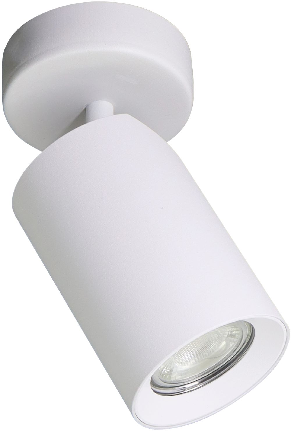 Zuma Line Tore stropní světlo 1x50 W bílá TLS006-WH
