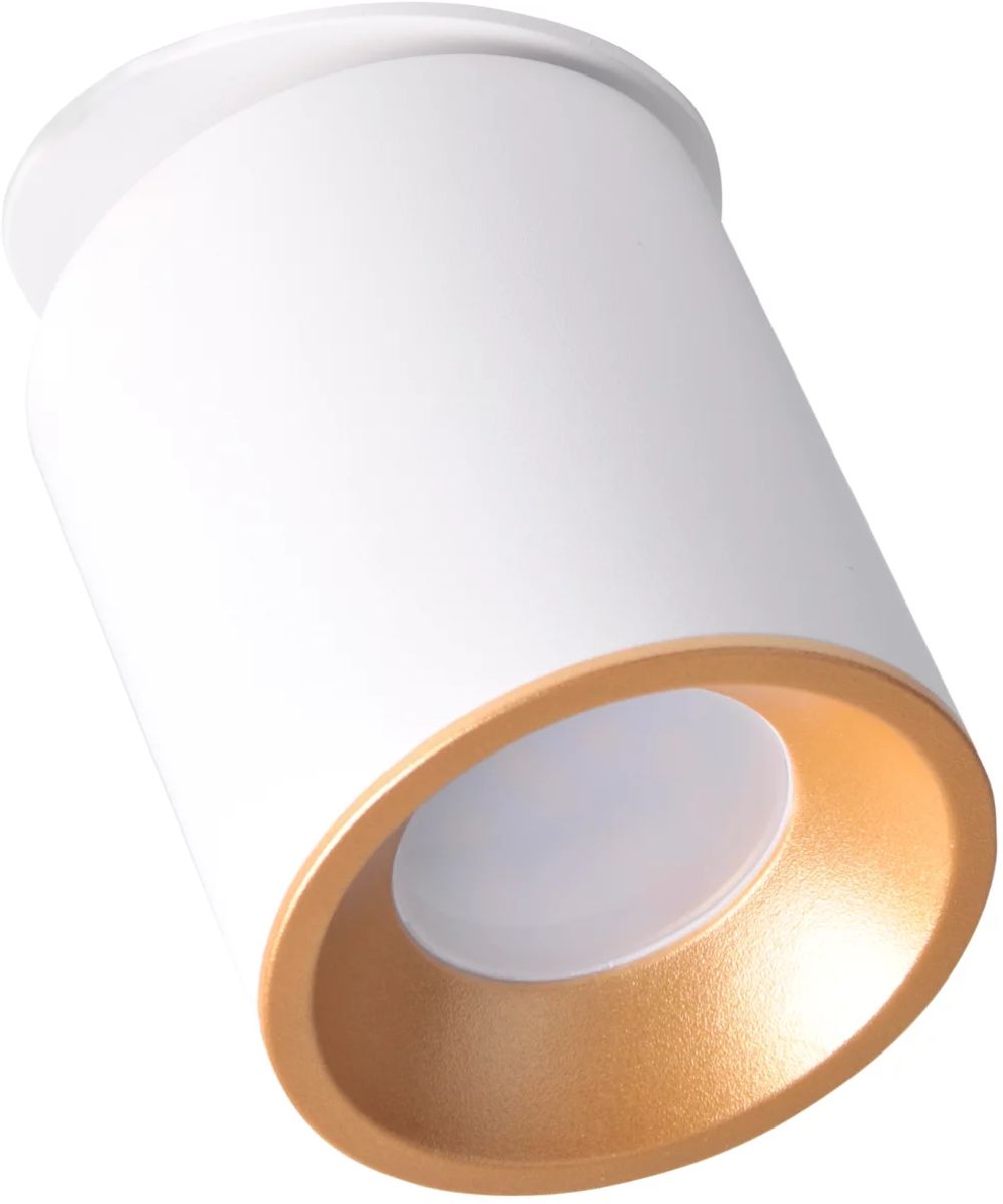 Goldlux Haron stropní světlo 1x10 W bílá 314215