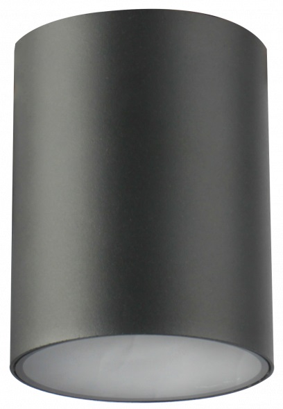 GTV Lento stropní světlo 1x35 W grafitová OS-LEN100OKG-30