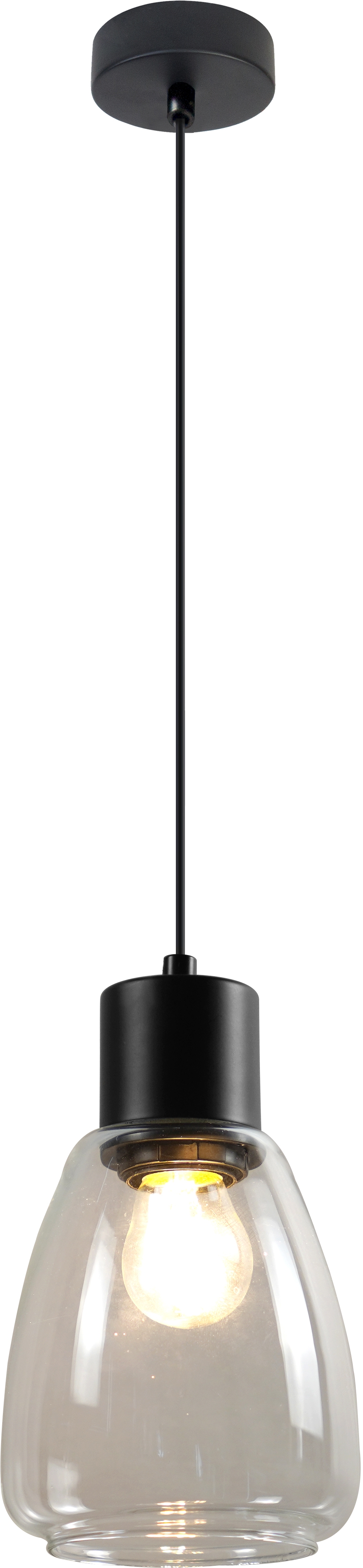 Candellux Moldo závěsné svítidlo 1x40 W černá-průhledná 31-35066