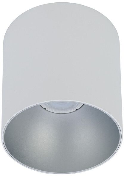 Nowodvorski Lighting Point Tone stropní světlo 1x10 W bílá-stříbrná 8220