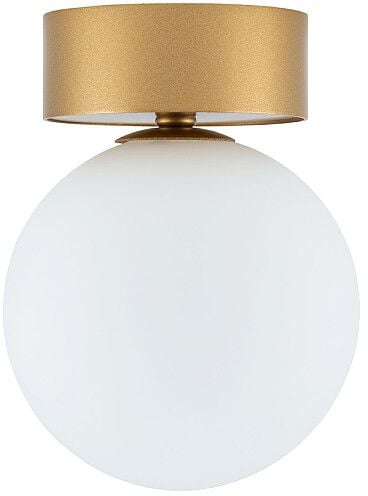 Nowodvorski Lighting Kier stropní světlo 1x12 W bílá-zlatá 10623