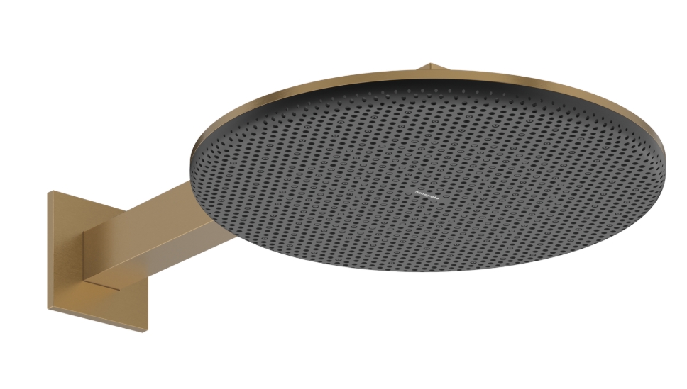 Hansgrohe Raindance Alive S hlavová sprchá s ramenem x cm || 24540140