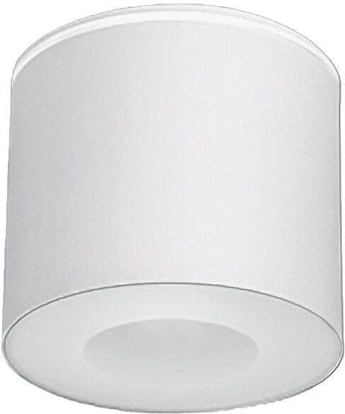 Nowodvorski Lighting Hexa stropní světlo 1x35 W bílá 9564