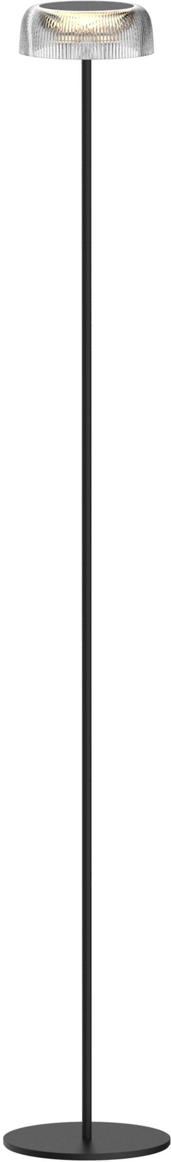 Goldlux Trypolis stojací lampa 1x2 W černá-průhledná 329929