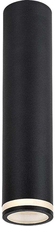 Rabalux Senobia stropní světlo 1x35 W černá 73031