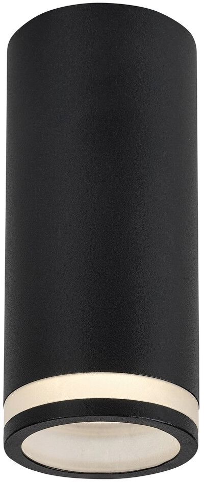 Rabalux Senobia stropní světlo 1x35 W černá 73030