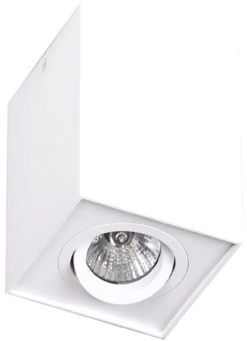 MaxLight Basic stropní světlo 1x50 W bílá C0070