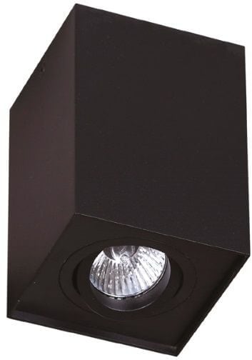 MaxLight Basic stropní světlo 1x50 W černá C0071