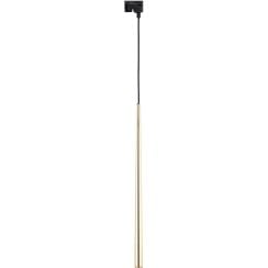 TK Lighting Tracer světlo na kolejnice 1x6 W zlatá 5750