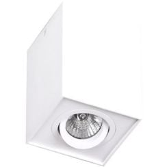 MaxLight Basic stropní světlo 1x50 W bílá C0070