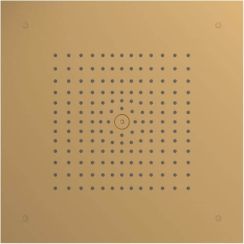 Hansgrohe Raindance E hlavová sprcha 40x40 cm čtvercový || 26252140